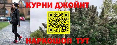 шишки Жуковский