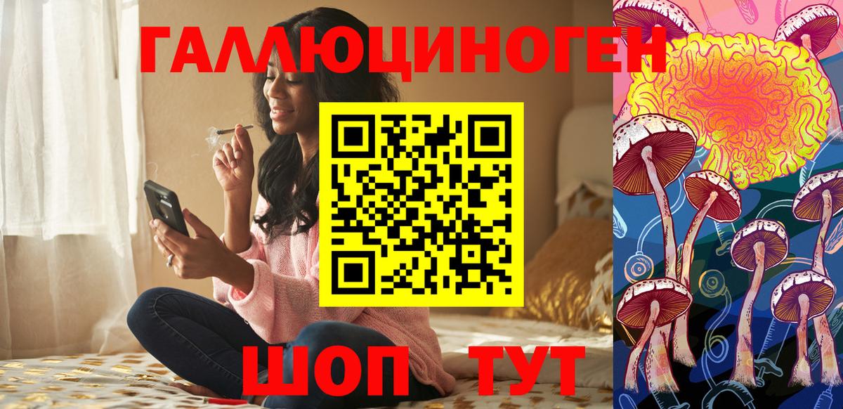 Урюпинск  Псилоцибиновые грибы Cubensis  Вход с VPN 
