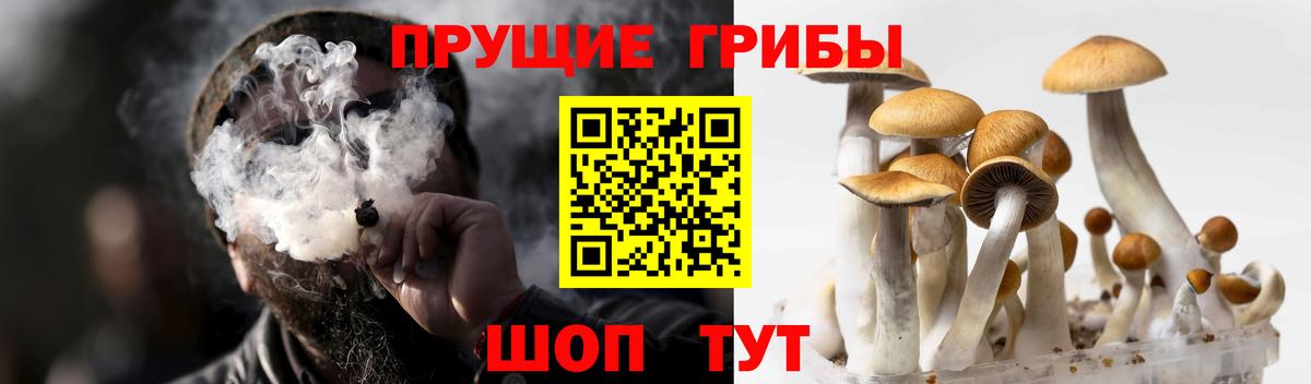 Псилоцибиновые грибы мухоморы Урюпинск
