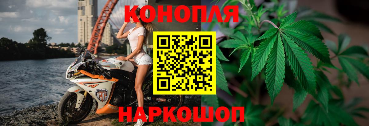 Урюпинск  МАРИХУАНА сатива  Каннабис семена  Вход с VPN  Конопля White Widow 